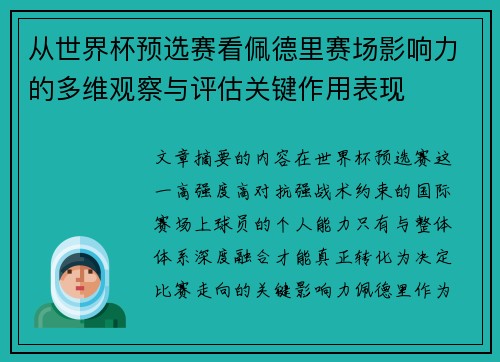 从世界杯预选赛看佩德里赛场影响力的多维观察与评估关键作用表现